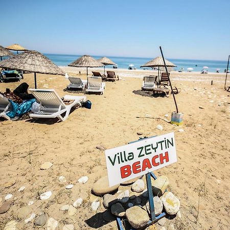 Villa Zeytin Чирали Екстер'єр фото