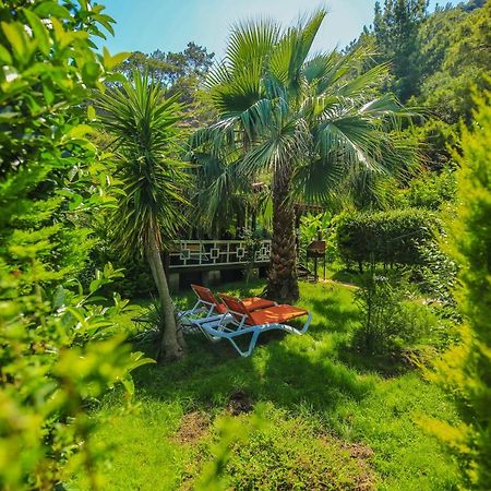Villa Zeytin Чирали Екстер'єр фото