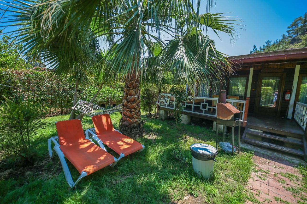 Villa Zeytin Чирали Екстер'єр фото