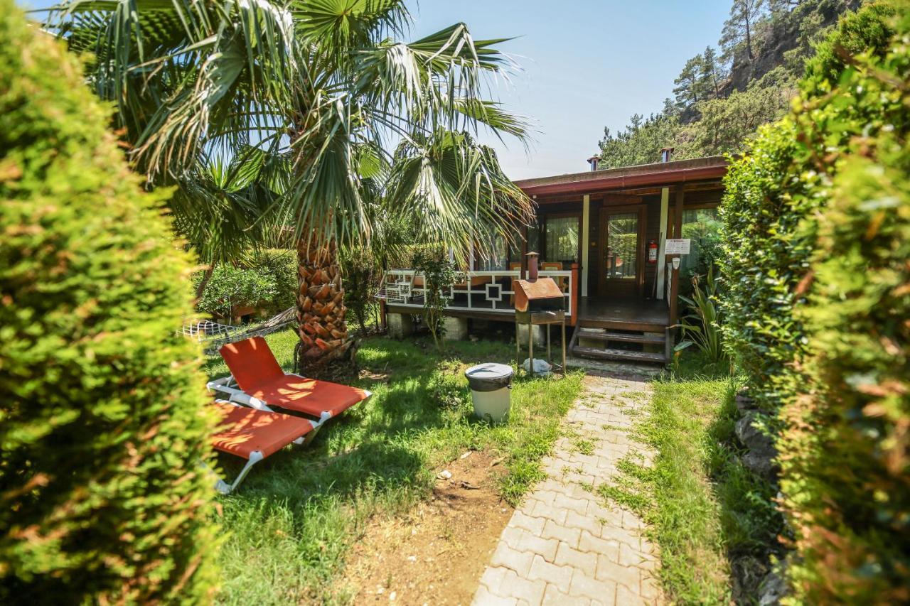 Villa Zeytin Чирали Екстер'єр фото