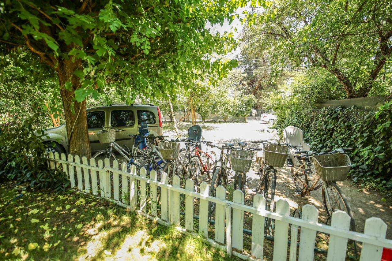 Villa Zeytin Чирали Екстер'єр фото