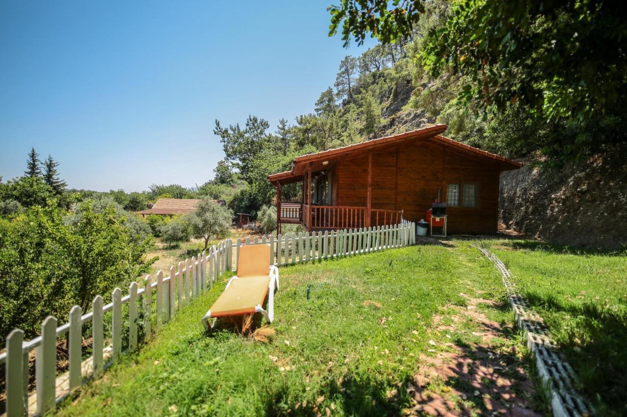 Villa Zeytin Чирали Екстер'єр фото