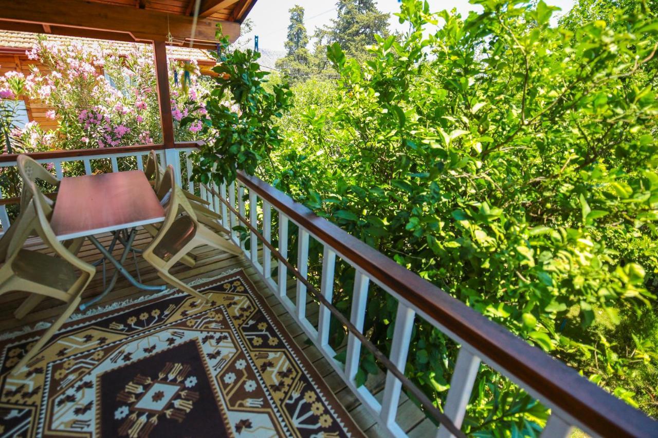Villa Zeytin Чирали Екстер'єр фото