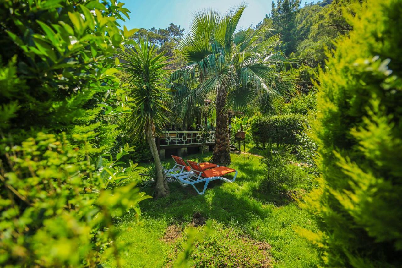 Villa Zeytin Чирали Екстер'єр фото