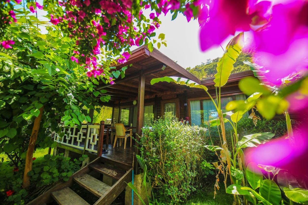 Villa Zeytin Чирали Екстер'єр фото