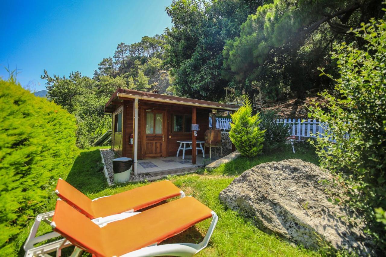 Villa Zeytin Чирали Екстер'єр фото
