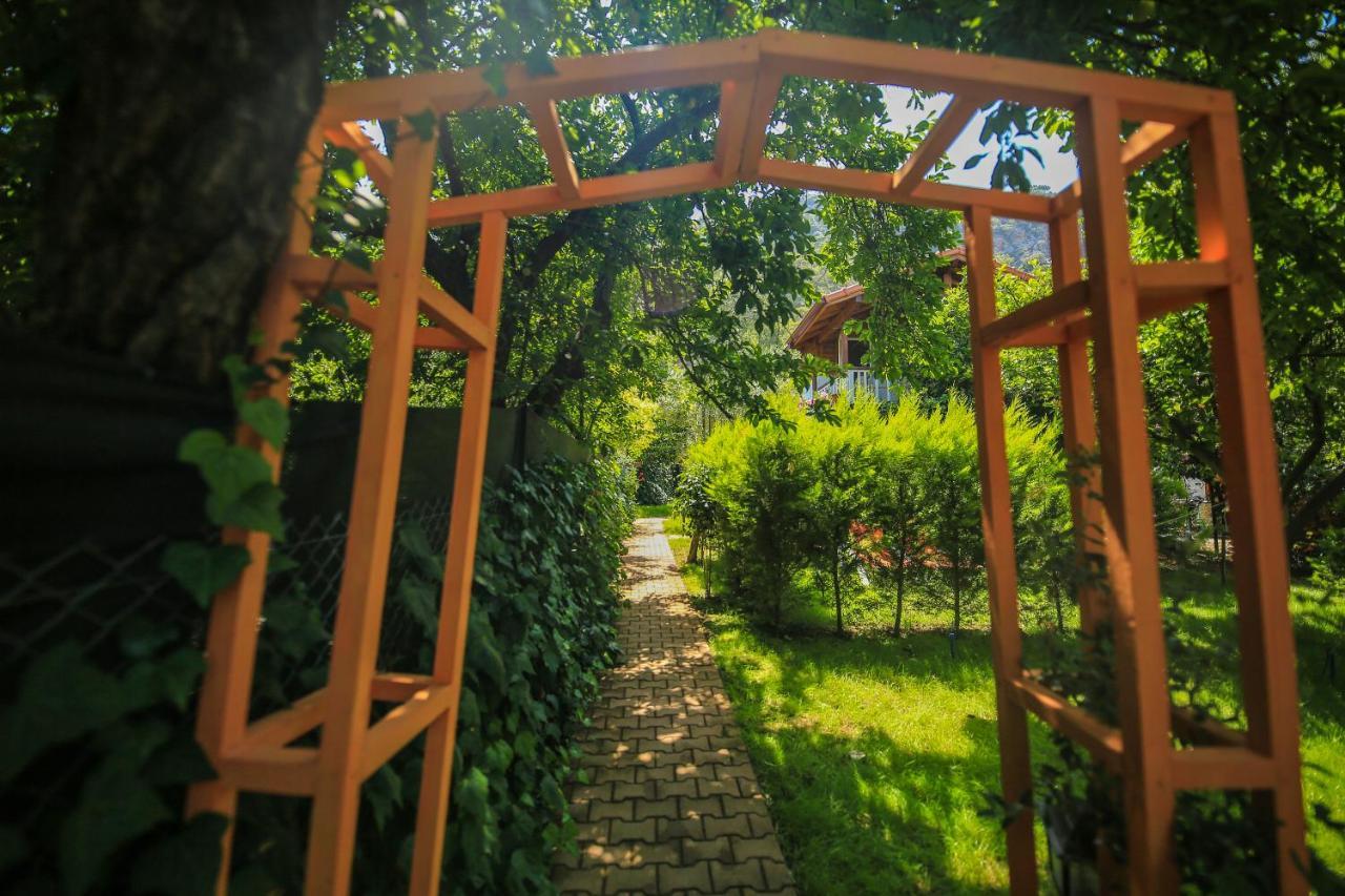 Villa Zeytin Чирали Екстер'єр фото