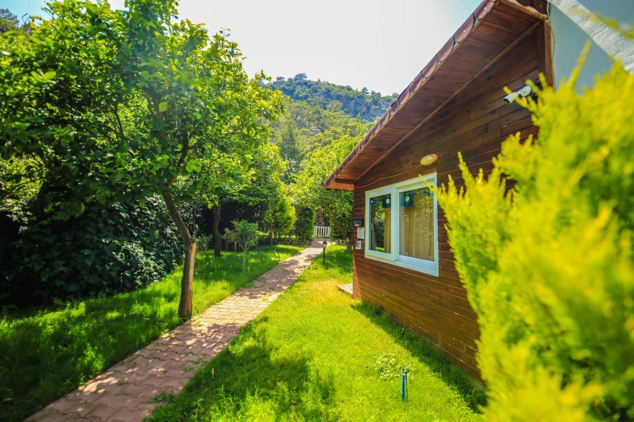 Villa Zeytin Чирали Екстер'єр фото