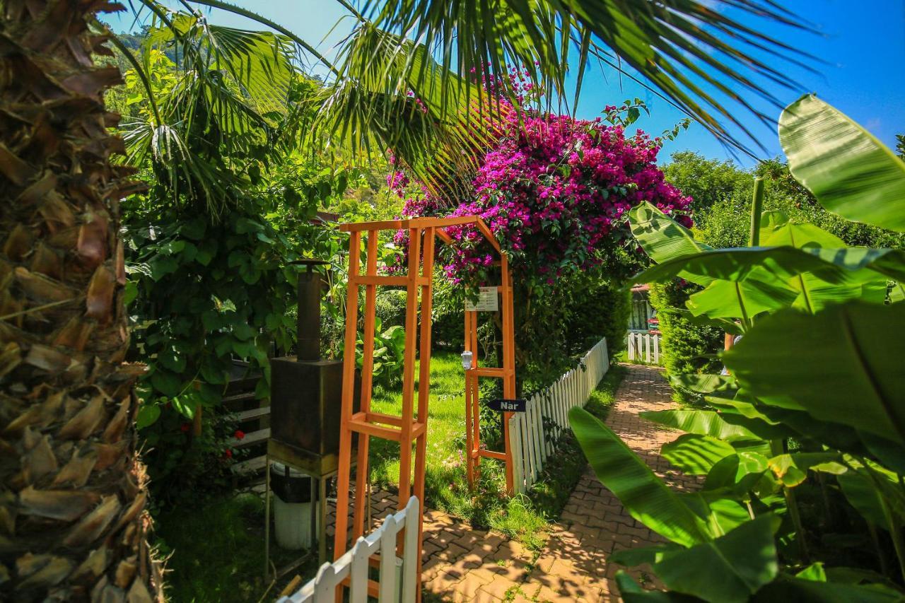 Villa Zeytin Чирали Екстер'єр фото
