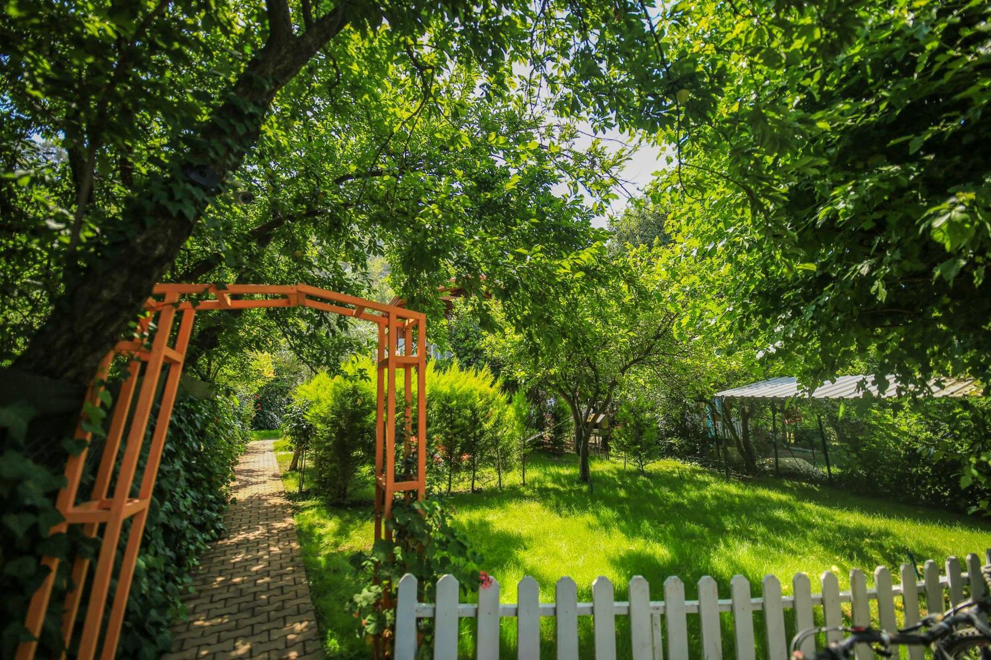 Villa Zeytin Чирали Екстер'єр фото