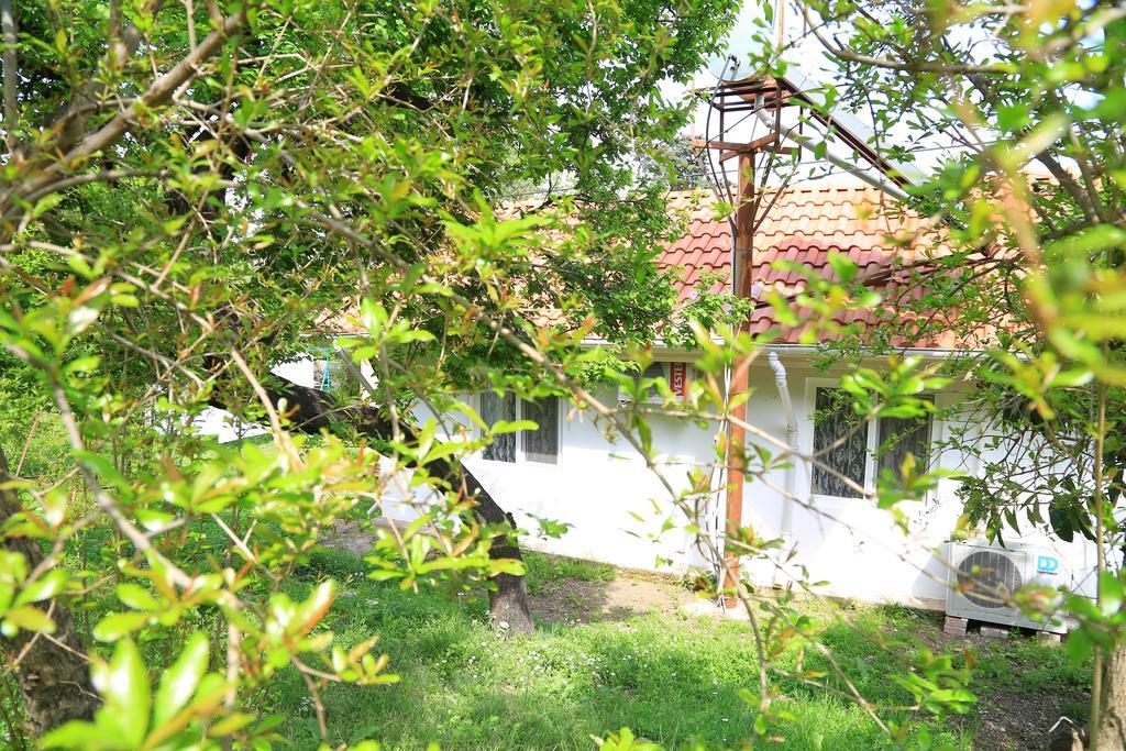 Villa Zeytin Чирали Екстер'єр фото