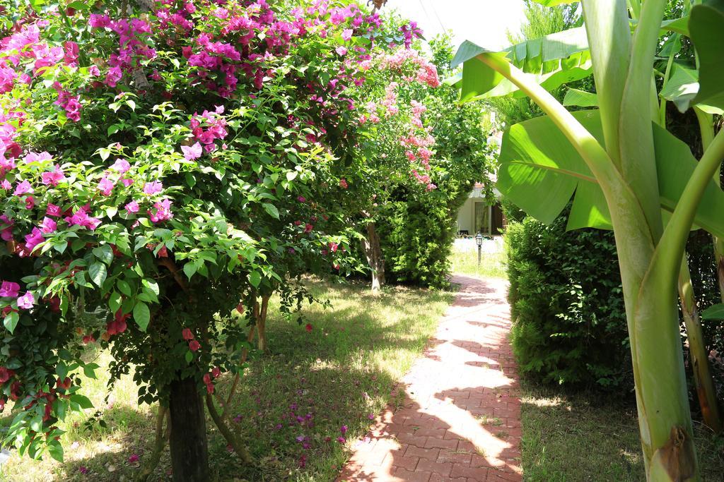 Villa Zeytin Чирали Екстер'єр фото