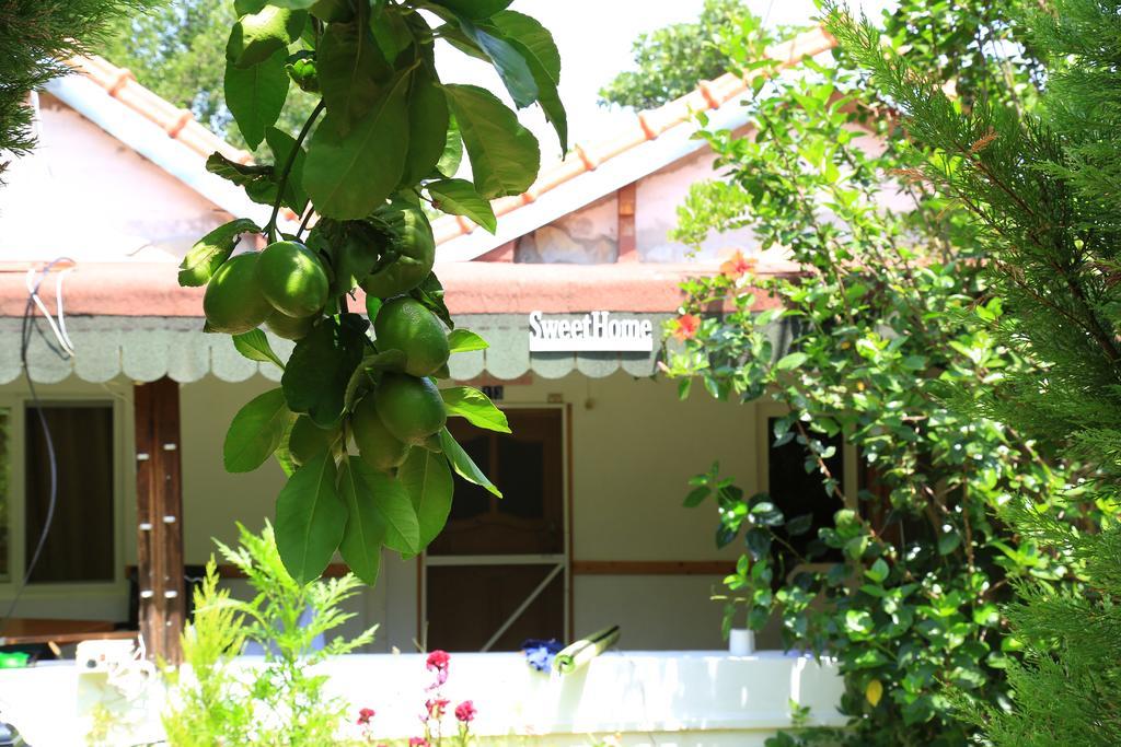 Villa Zeytin Чирали Екстер'єр фото