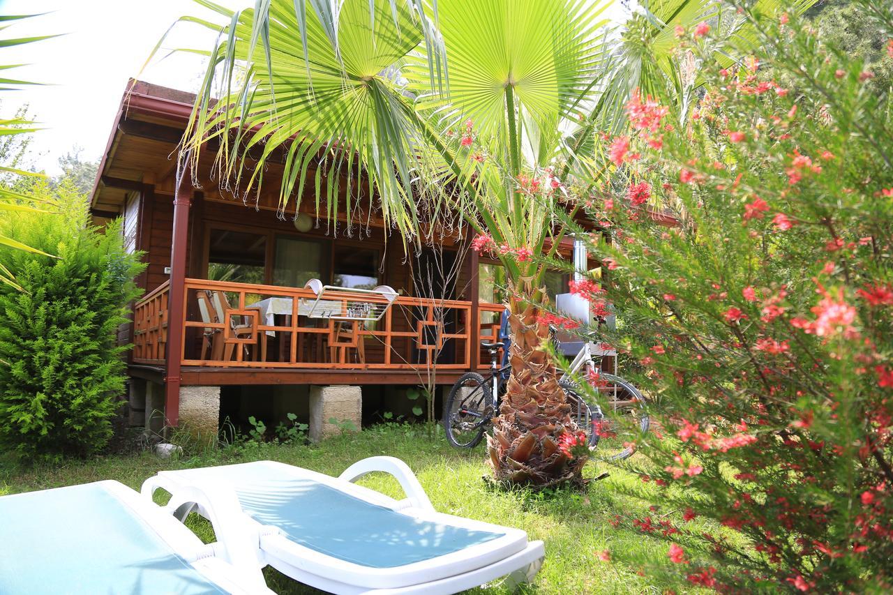 Villa Zeytin Чирали Екстер'єр фото